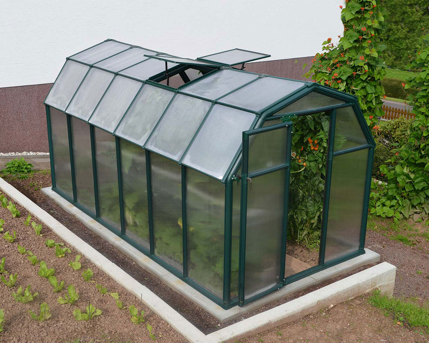 Greenhouse EcoGrow 6' x 12' Green Structure & Twinwall Glazing