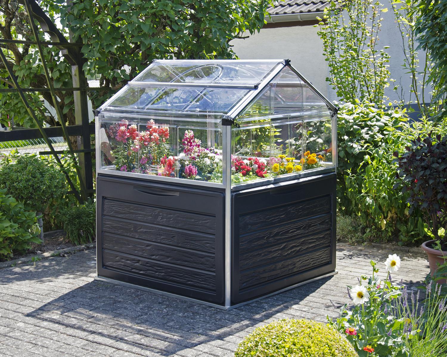 Plant Inn 4' x 4' Greenhouse - Silver Structure & Clear Panels full of flowers