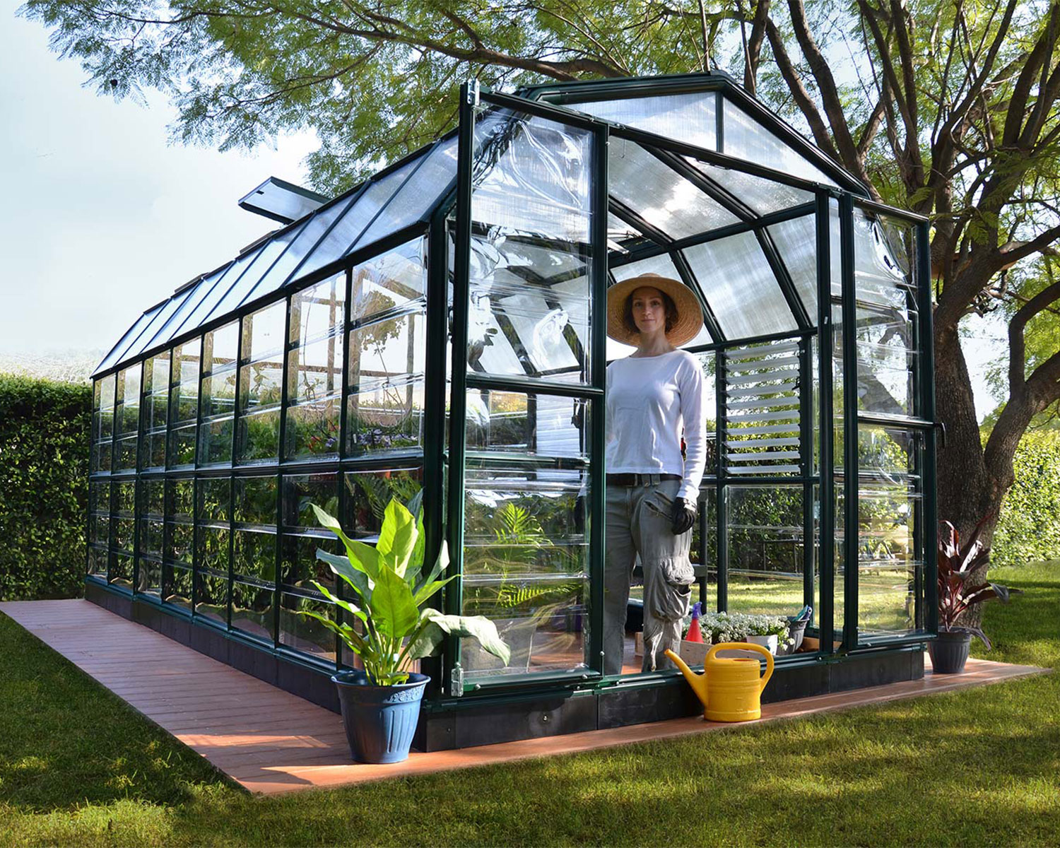 Greenhouse Prestige 8 ft. x 16 ft. Green Structure & Clear Wall Panels standing inside