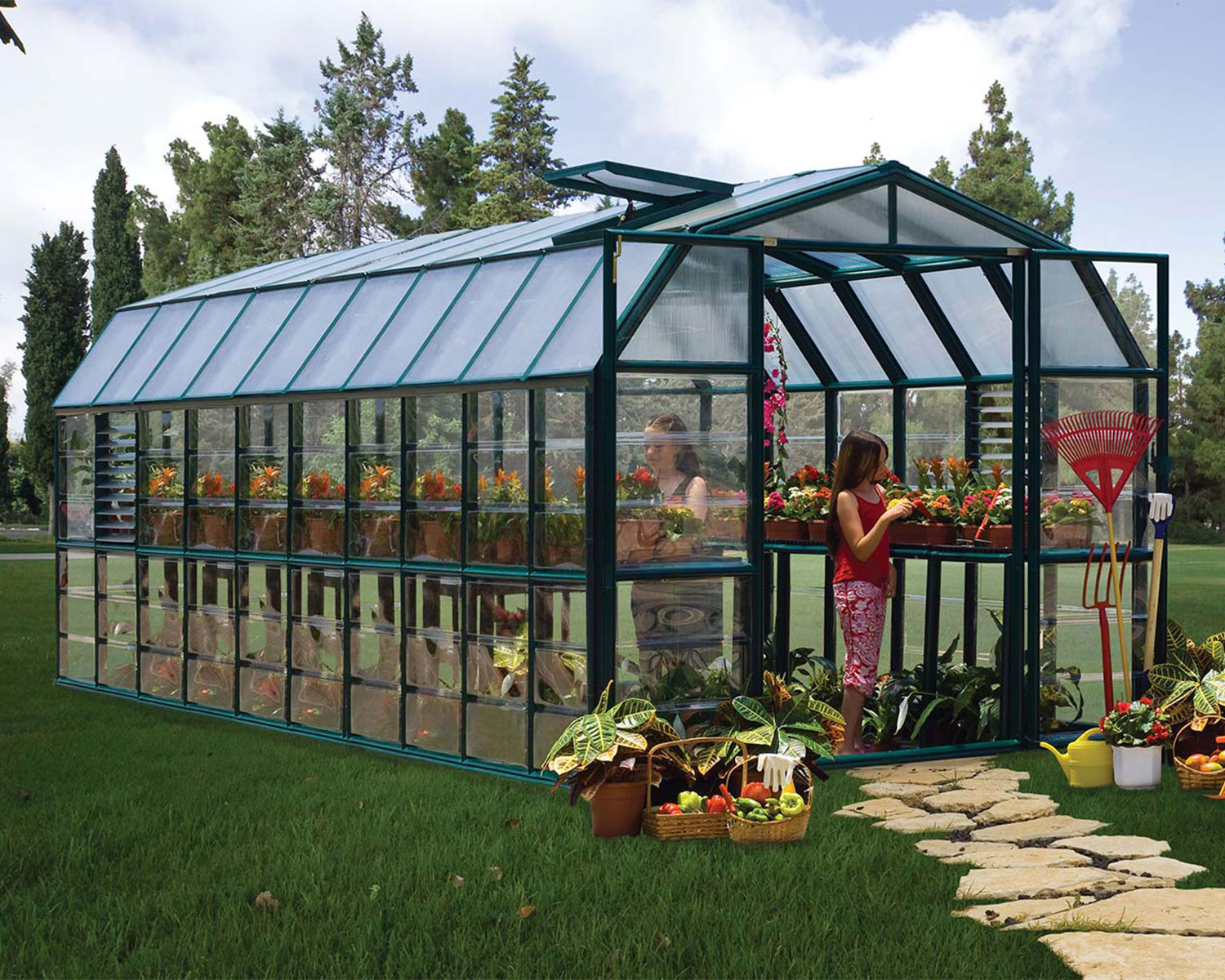 Prestige 8 ft. x 20 ft. Greenhouse Green Structure & Clear Wall Panels growing plants