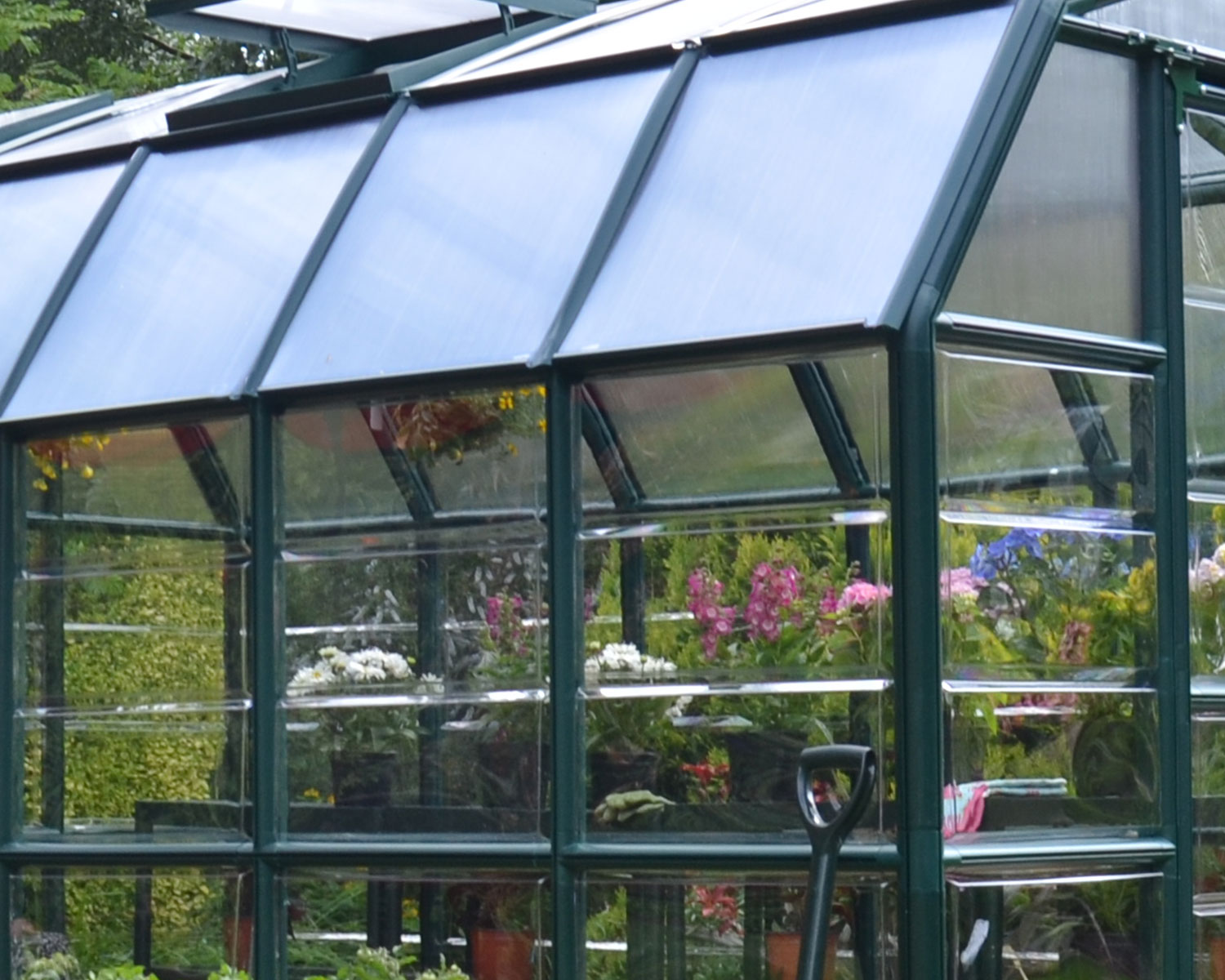 Prestige 8 ft. x 8 ft. Greenhouse Green Structure & Hybrid Panels full of plants side view