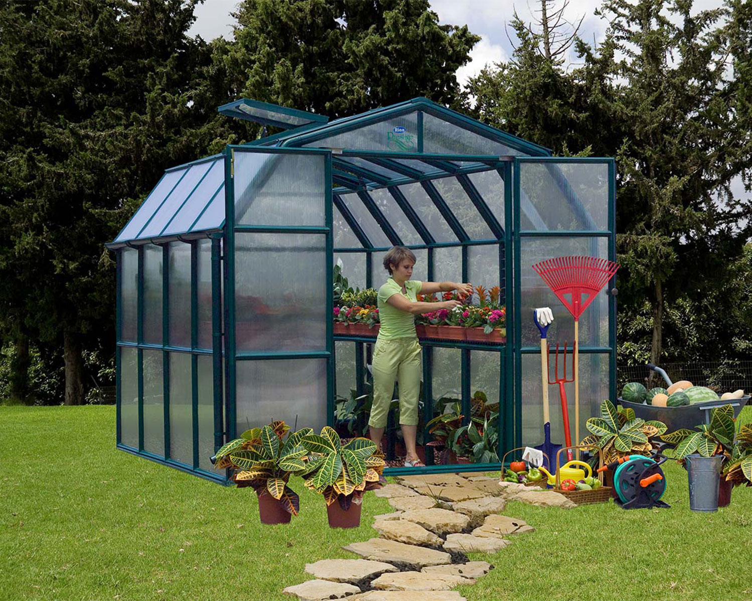 Greenhouse Prestige 8 ft. x 8 ft. Green Structure & Twin Wall Panels gardening